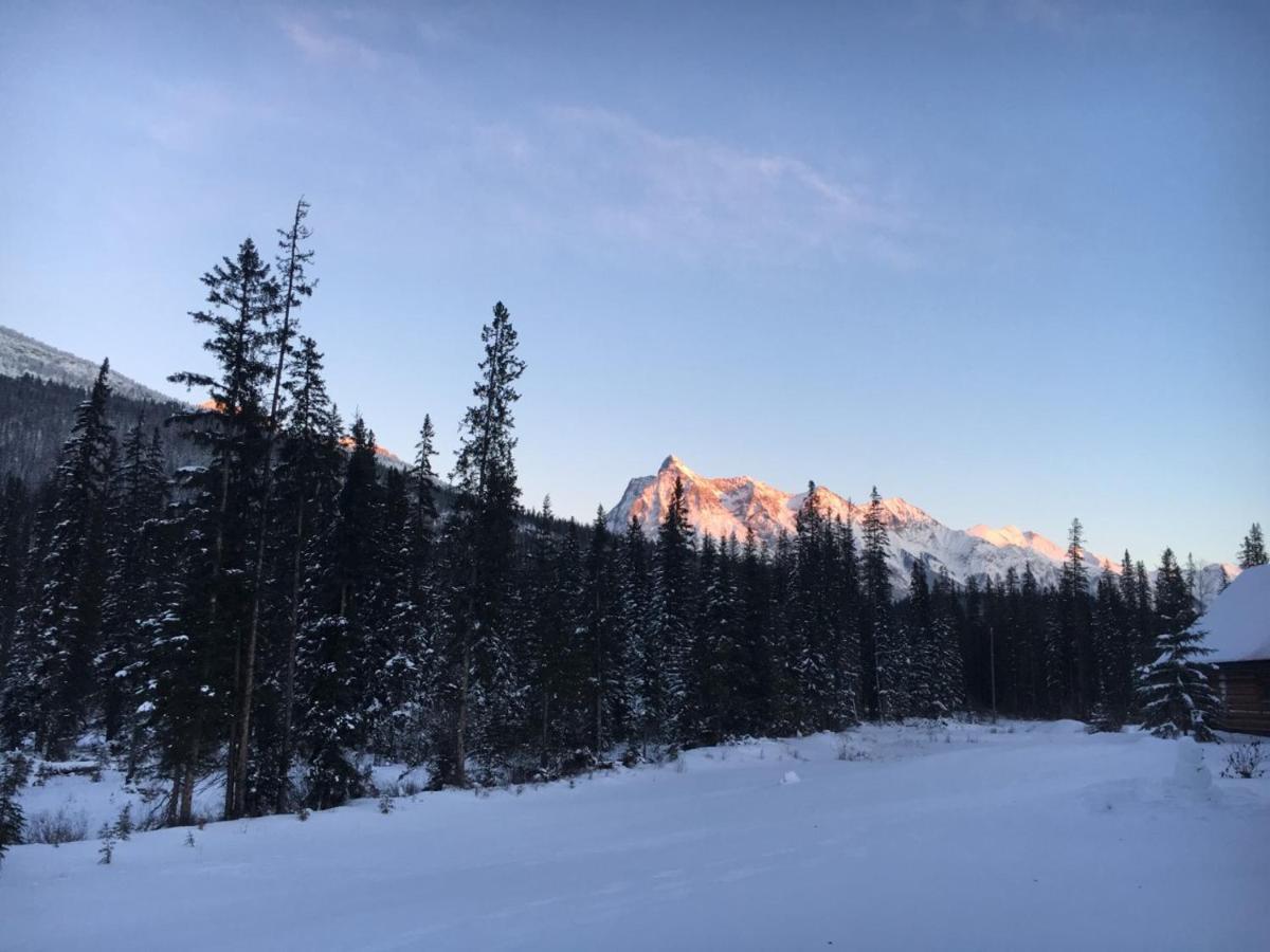 فيلا غولدنفي Yoho Chalets المظهر الخارجي الصورة